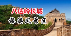 插屄视频网站免费中国北京-八达岭长城旅游风景区